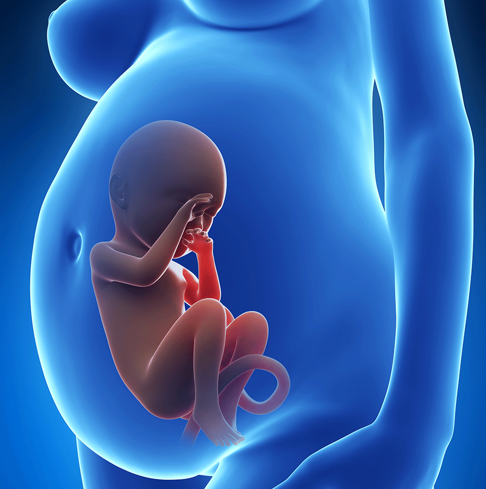 breech presentation in pregnancy images